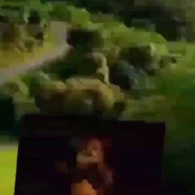 Рооль