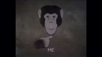 Ape longest sign language words. Monke want orang. Monke making smarter