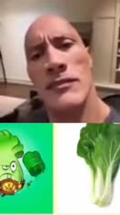 PvZ cock inspection