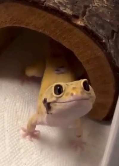 How could you not smile back?