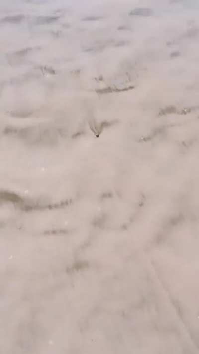 A lil tiny slip