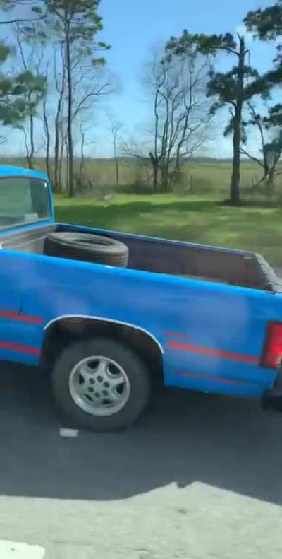 What In Tarnation!