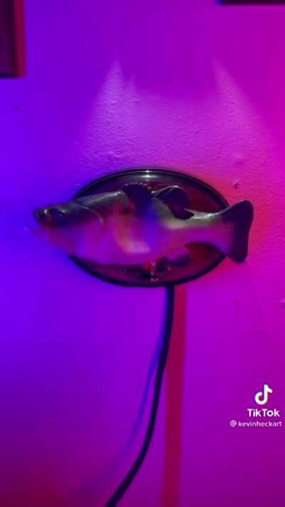 Drop the bass