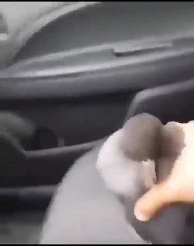 ‎