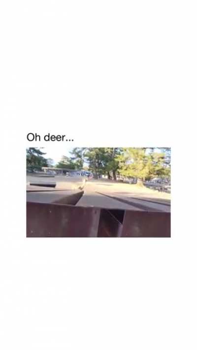*Deer* (credit: ruunachu on IG)