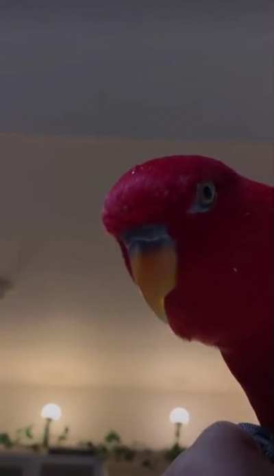 Rust players looking into your base after they&rsquo;ve made their first satchel charges.