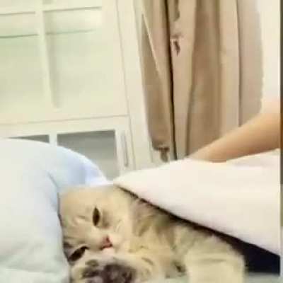 ( ͡&deg; ͜ʖ ͡&deg;)