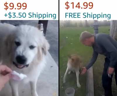 me_irl