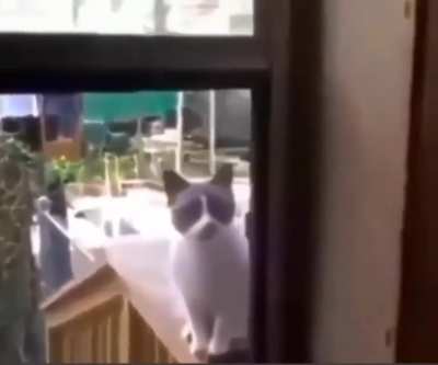 Bu kadar mucize var iken, hala inanmadiniz mi ?