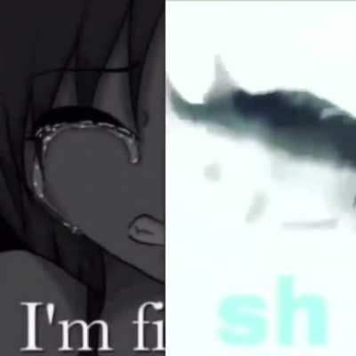 fish