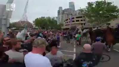 "Racist" horse