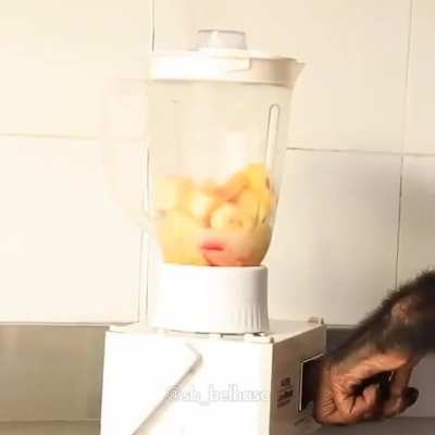 Faça como o muquinha e ingiram somente comidas saudáveis para se sentirem bem pelo resto do dia 💪🏿💪🏿💪🏿💪🏿