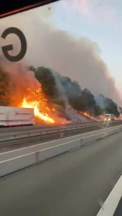 Waldbrand an der A7 bei G&ouml;ttingen/Kassel
