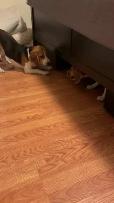 PLAY WITH ME!!!!