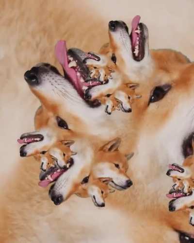 &ldquo;Even the bread is fractal&rdquo; -@tofupupper