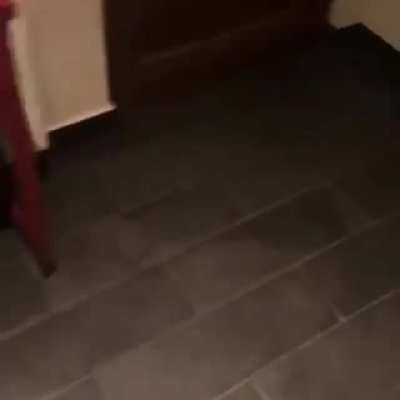 XD