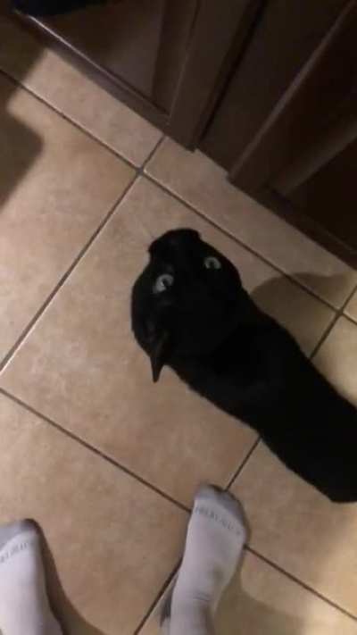 He&rsquo;s mad I&rsquo;m cooking and not giving him attention.