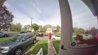 Casual pizza delivery