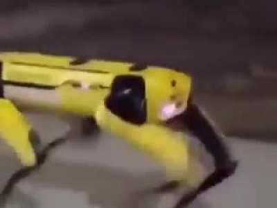 Keşke benimde b&ouml;yle robotum olsa