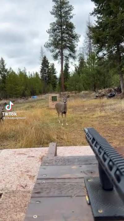 Deer&rsquo;s fighting through some demons.
