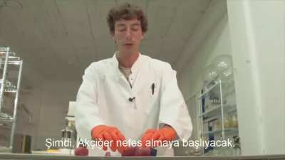 İlk insan eliyle oluşturulmuş Canlı Oscar(Mod&uuml;ler Prototip)