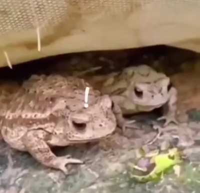 Maybe maybe maybe
