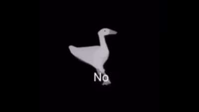 no