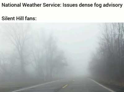 I like fog