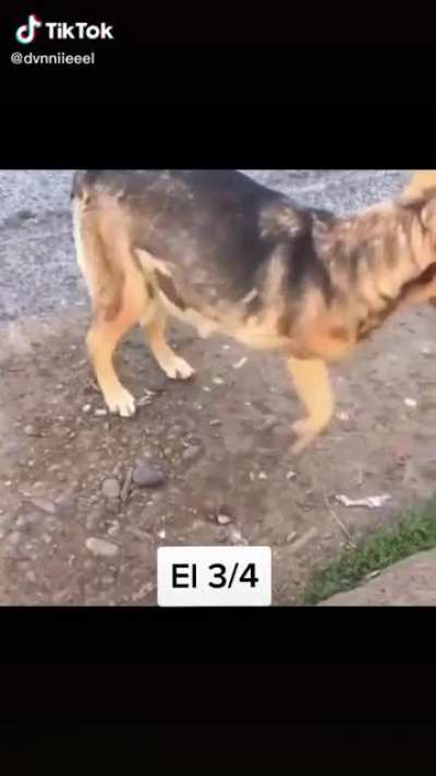 El m&aacute;s FIXA el shoro 3/4
