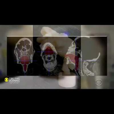 Scientists recreate mummies voice meme