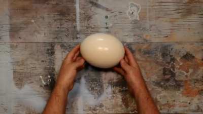 Egg