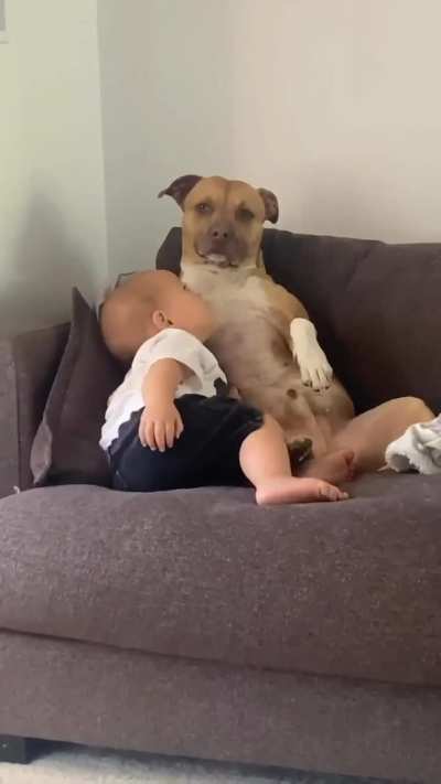 Just two bros chillin&rsquo;&hellip; one&rsquo;s drooling, one&rsquo;s plotting