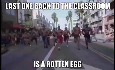 egg