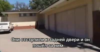 Жесткий дум-дед