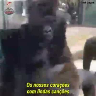 Bom dia!