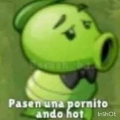 Yapo