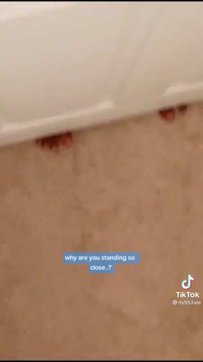 Feet