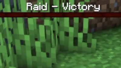 When you Finally find the Last Pillager