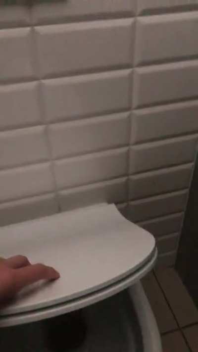 This happened to all the toilets in my school