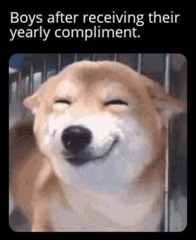 Doggo