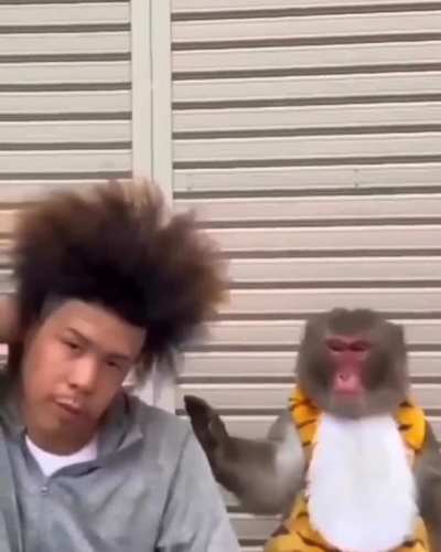 Monke