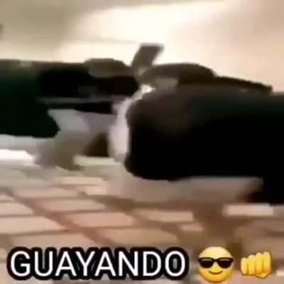Guayando 😎👊