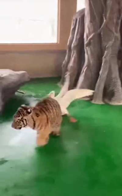 Maybe Maybe Maybe