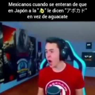 Xd