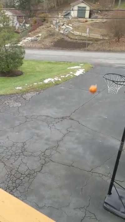 Throwing Pumpkins