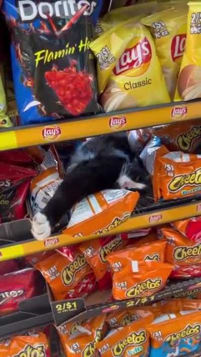 well that seems like a refreshing place to take a nap honestly.