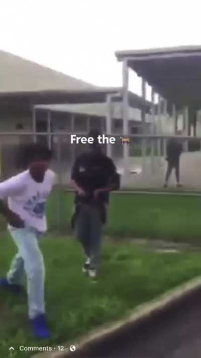 Free g9!