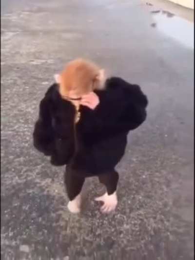 Pimp Monke
