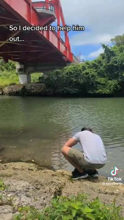 Helping a baby duck back to its mom.