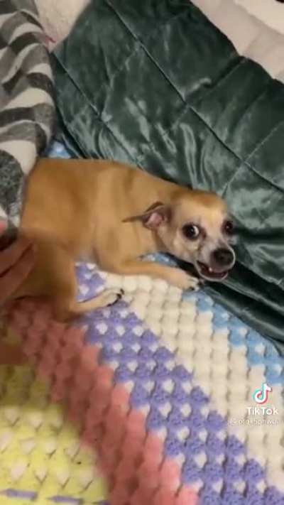 credit to @otqx5phw0a on tiktok
